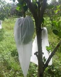 ƯU NHƯỢC ĐIỂM CỦA CÁC LOẠI TÚI BAO TRÁI CÂY HIỆN NAY