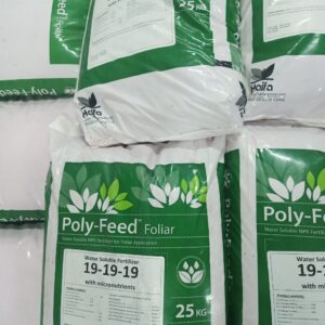 Phân bón NPK Poly feed 19-19-19 Haifa - Israel